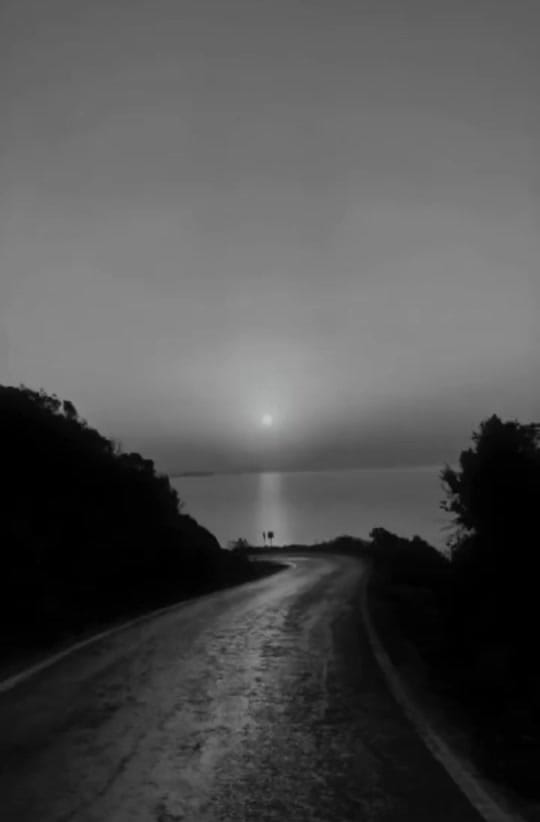 Post 9 by dombrowski on TikTok (video)