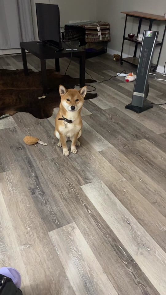 Post 9 by Double JJ on TikTok (video)