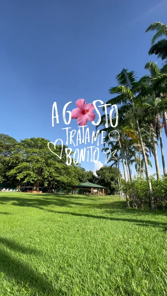 Post 5 by Andrea Fagundez on TikTok (video)