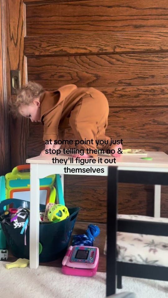 Post 6 by madi 🤎🦆🌾 on TikTok (video)