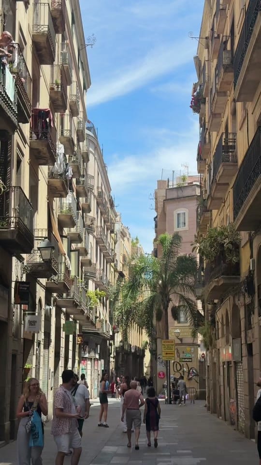 Post 2 by Marta Lizcano on TikTok (video)