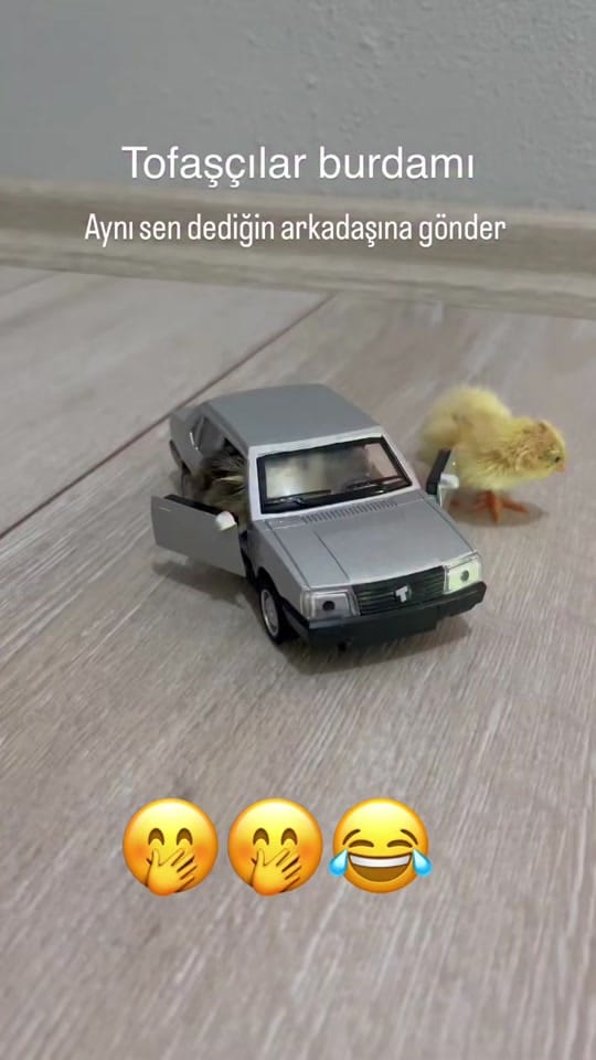 Post 8 by 🦅🅺🅰🆁🆃🅰🅻🅸🅲̧🅴🦅 on TikTok (video)