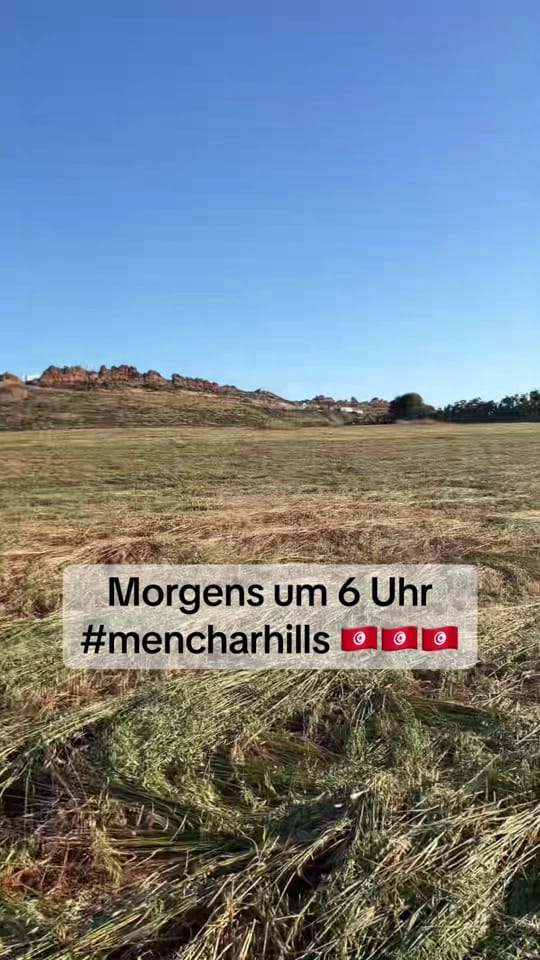 Post 9 by 🇩🇪mencharhills🇹🇳 on TikTok (video)