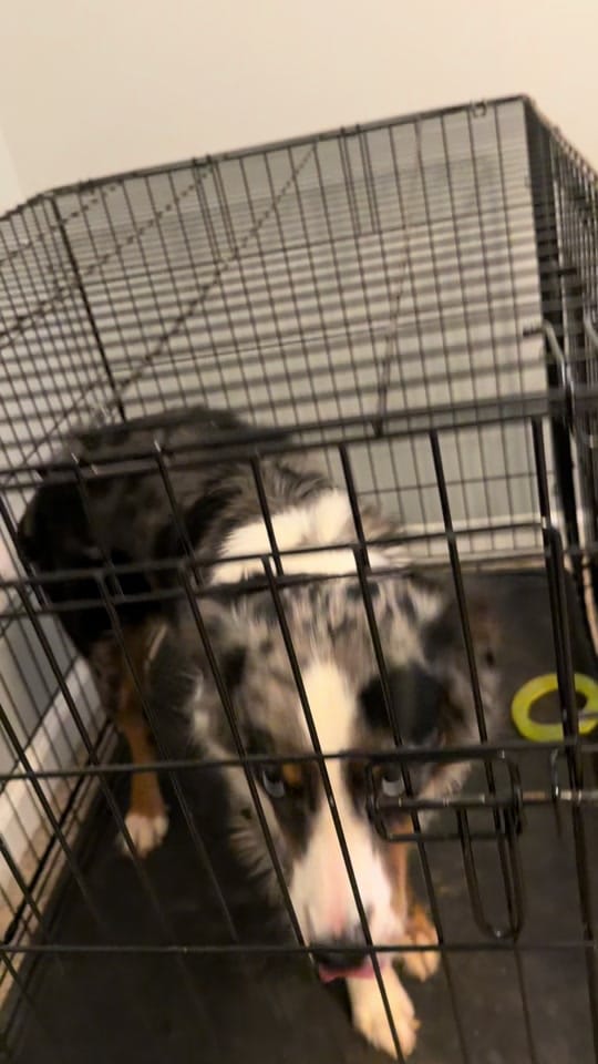 Post 5 by Alyssa Hopkins on TikTok (video)