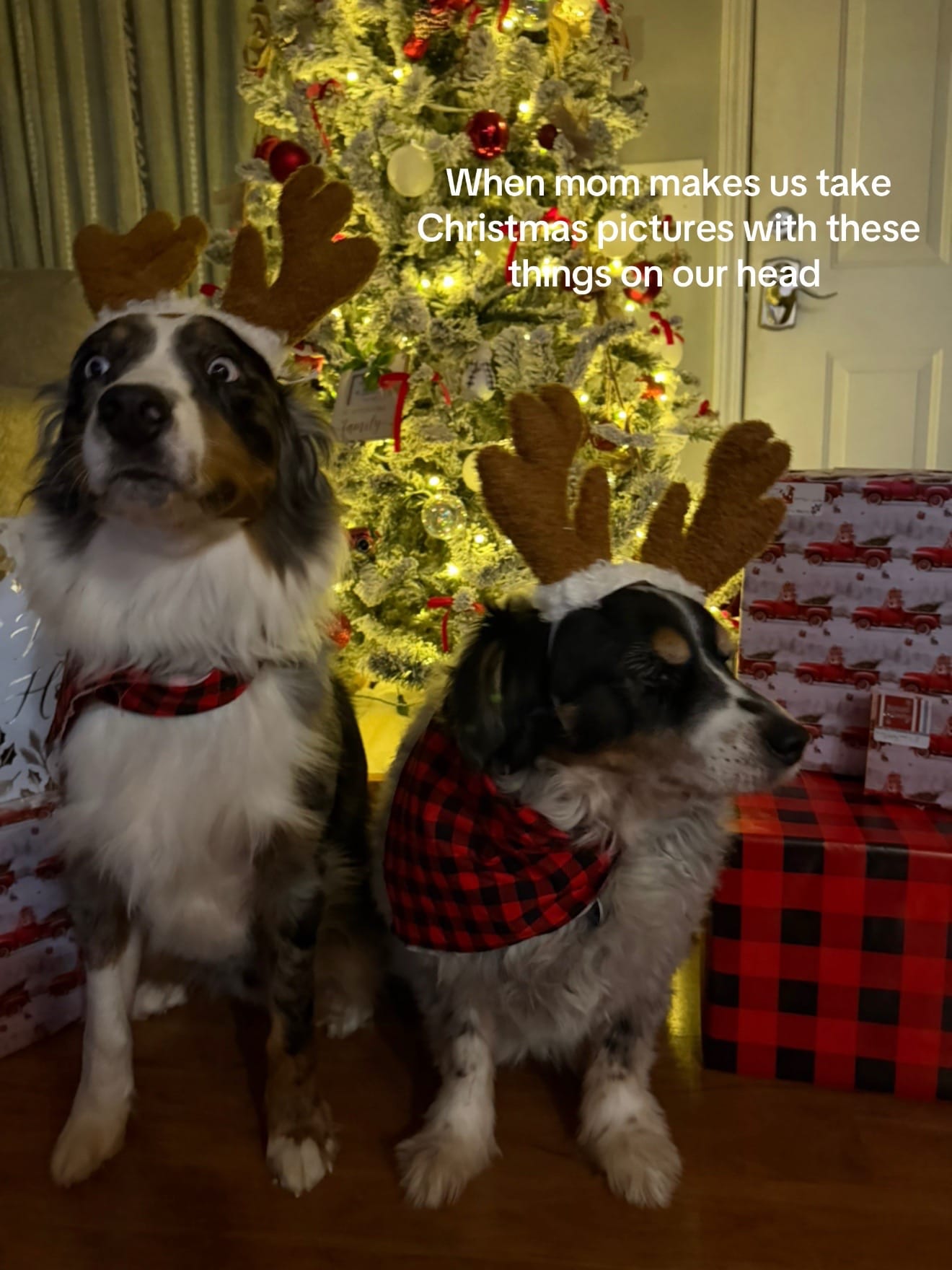 Post 4 by Alyssa Hopkins on TikTok (video)