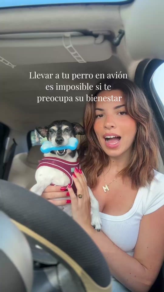 Post 3 by Nina Jimeno on TikTok (video)