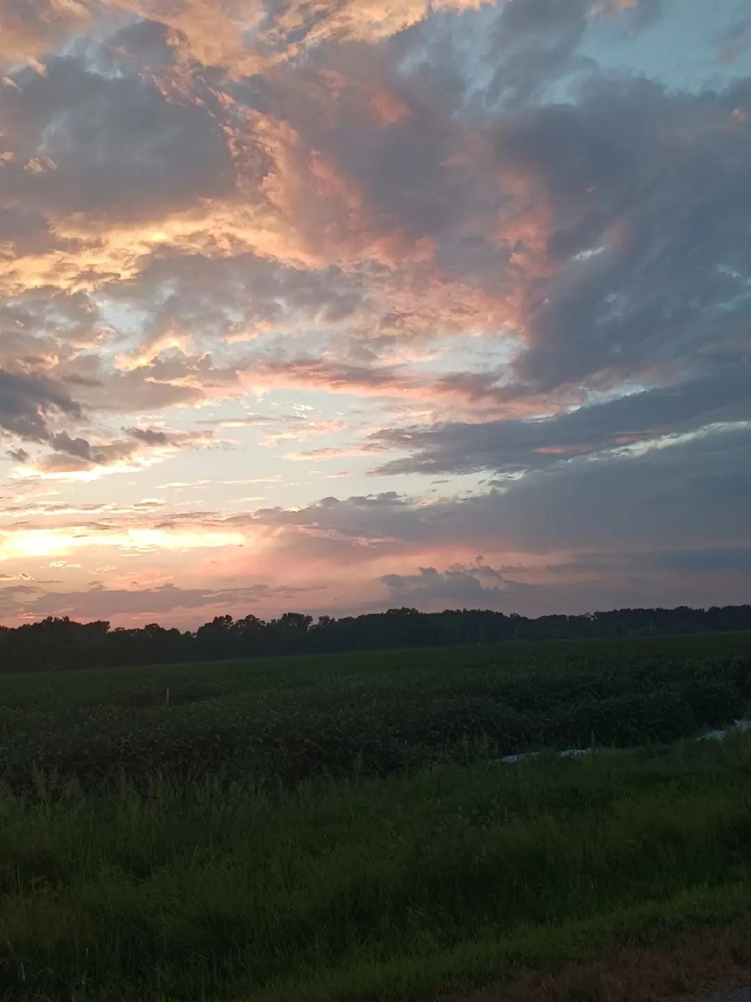 Post 2 by arkansas nurse77 on TikTok (video)