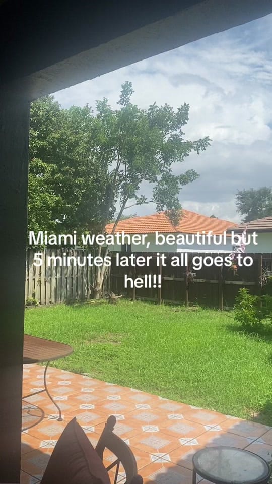 Post 3 by miamimom on TikTok (video)