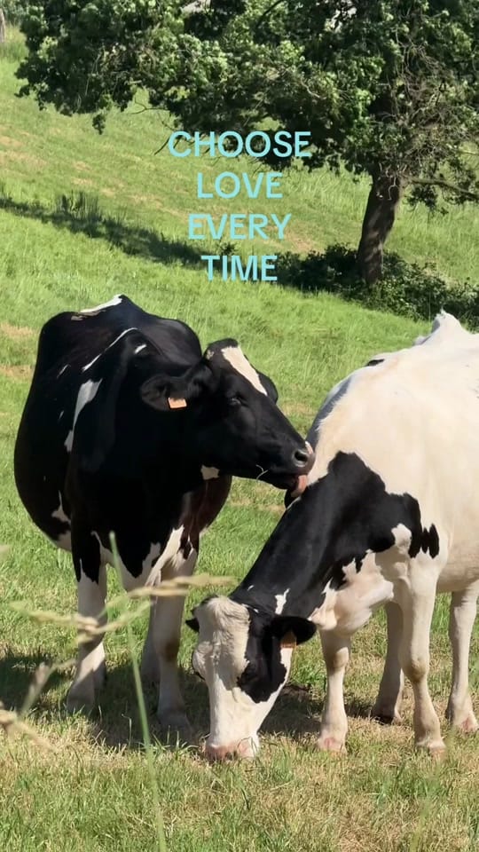 Post 5 by __itslita on TikTok (video)