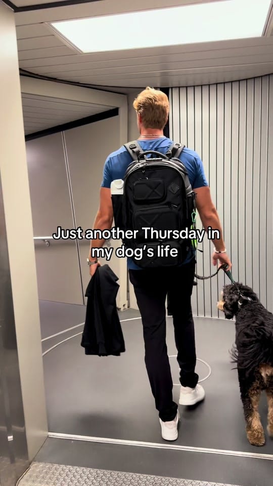 Post 8 by Cal on TikTok (video)