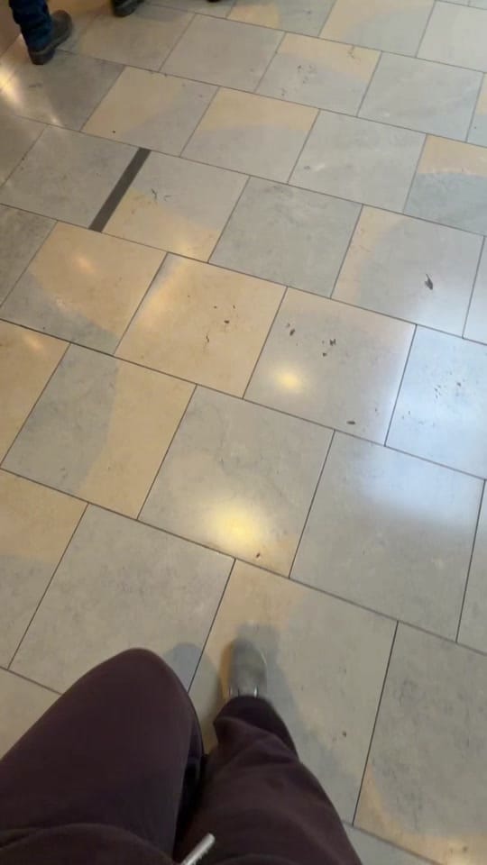 Post 8 by tayler love on TikTok (video)