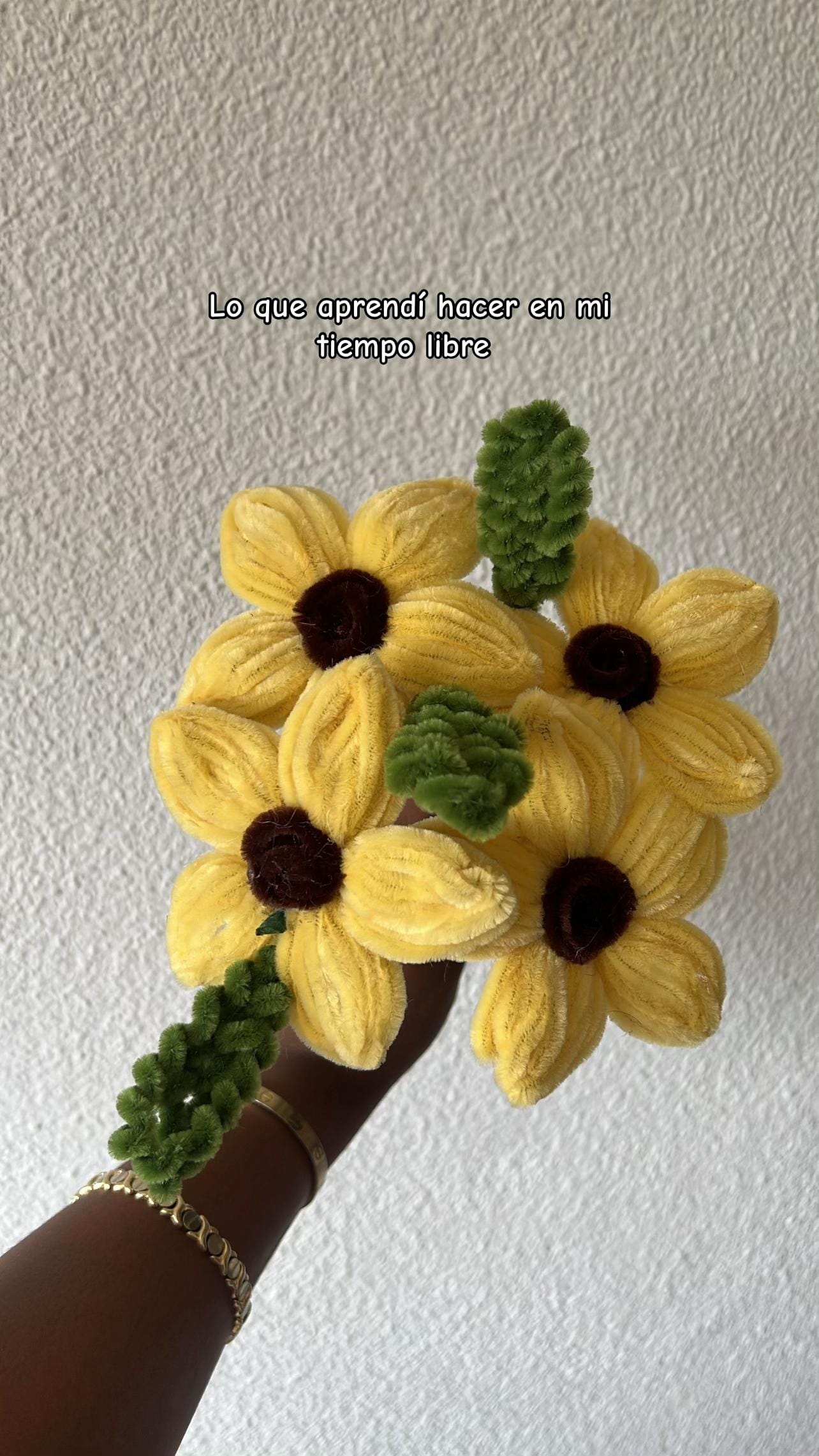 Post 5 by Yronelis de Jesús on TikTok (video)