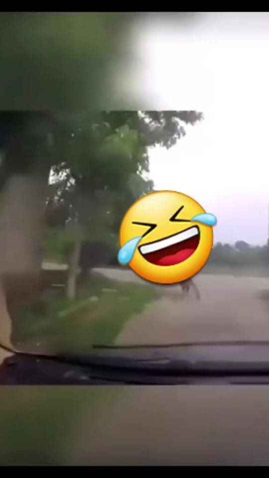 Post 9 by Om.ibrahim2006 on TikTok (video)