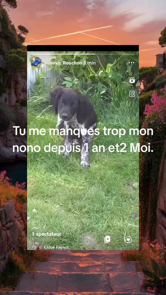 Post 4 by Rdx-z on TikTok (video)