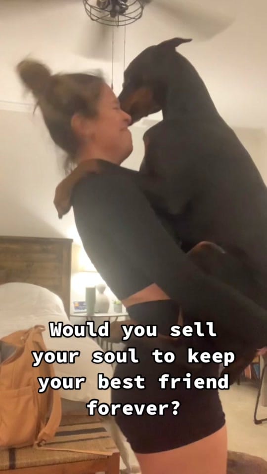 Post 5 by jasmineodom on TikTok (video)
