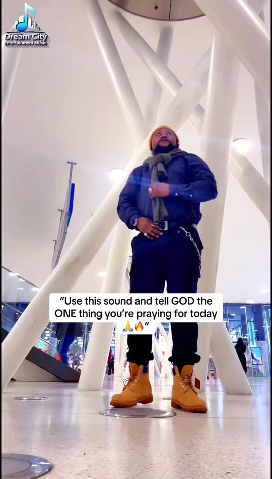Post 9 by Almans Bee on TikTok (video)