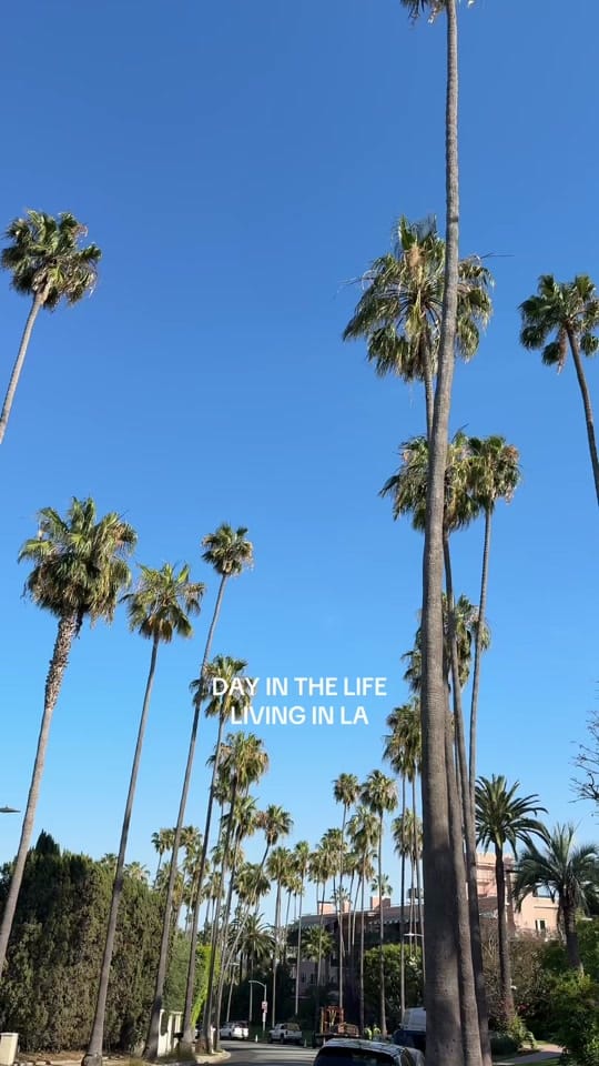 Post 10 by Nina Pacek🦂 on TikTok (video)