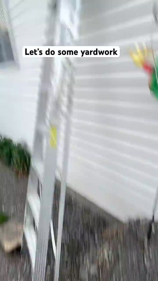 Post 7 by Beyondfoodmarket on TikTok (video)