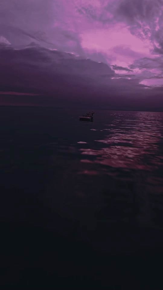 Post 6 by 🌸RhythmusReise🌸 on TikTok (video)