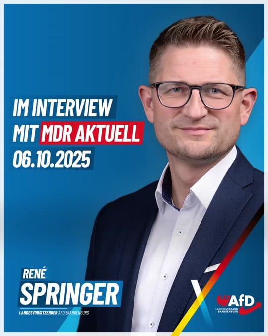 Post 10 by AfD_Brandenburg on TikTok (video)