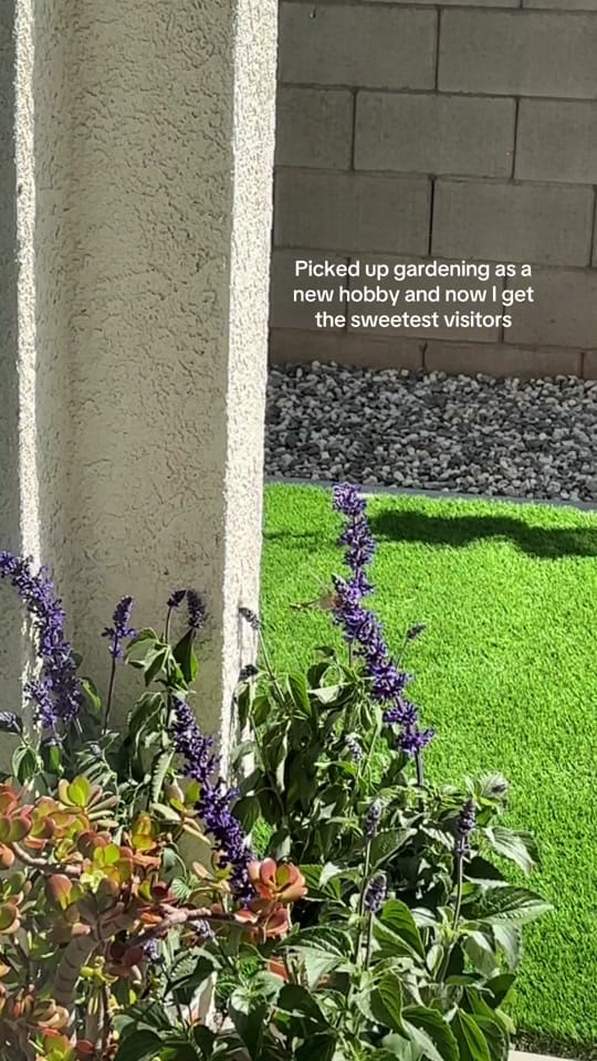 Post 3 by Nicole Mar on TikTok (video)