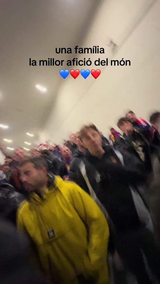 Post 7 by ivastams on TikTok (video)