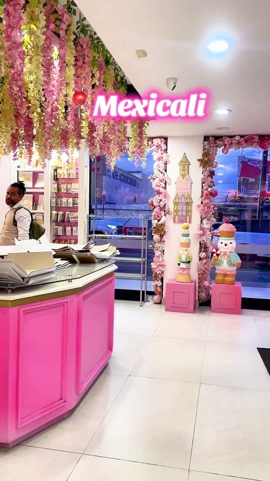 Post 9 by Lizbeth Sepulveda on TikTok (video)