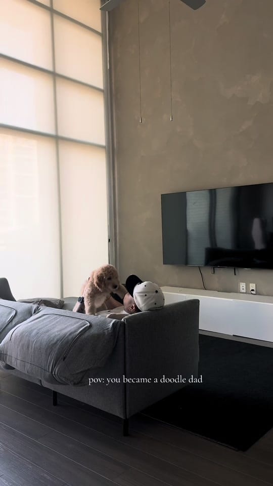 Post 3 by Nate Alexander on TikTok (video)