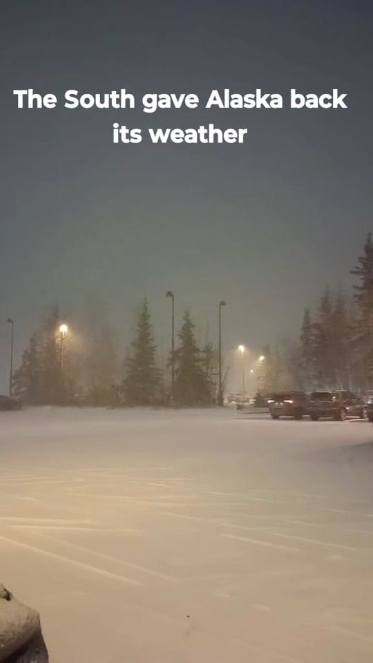 Post 5 by Lynn R on TikTok (video)