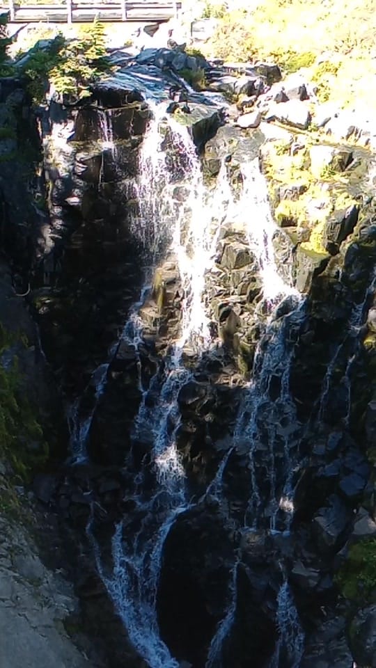 Post 7 by Lynn R on TikTok (video)