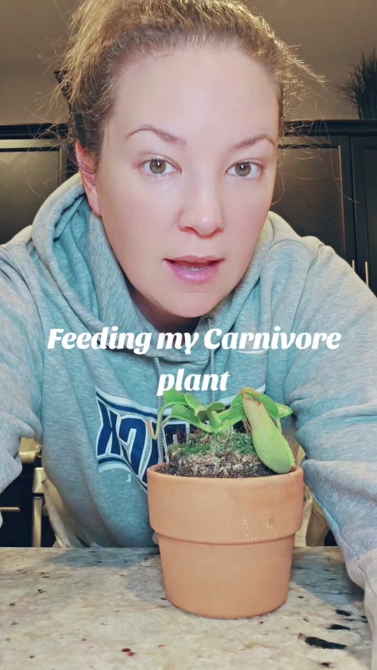 Post 4 by Rachel✨️Wife & Dog Mom on TikTok (video)
