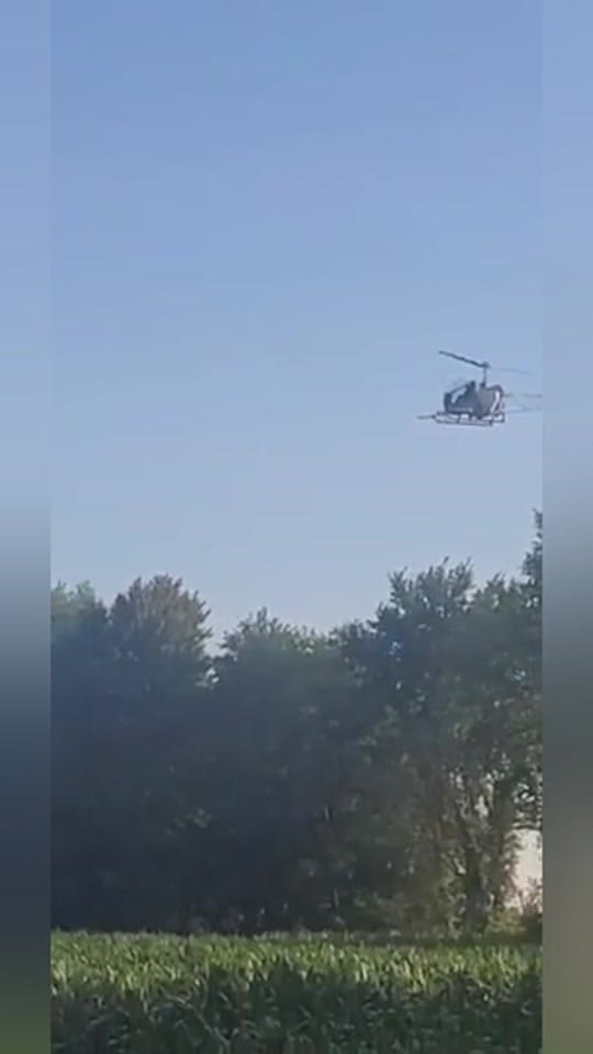 Post 8 by StephBracelin on TikTok (video)