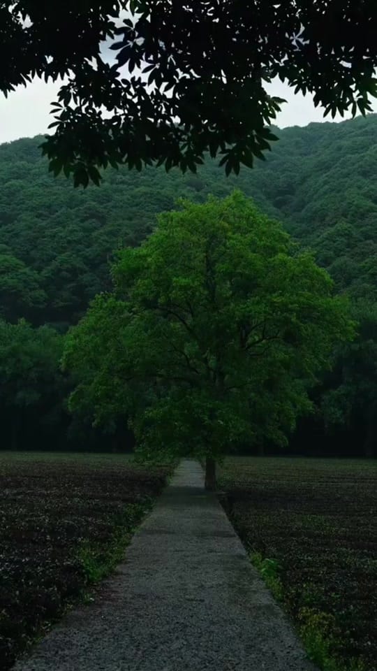 Post 8 by Mr_Full_Blast_Kinetic on TikTok (video)