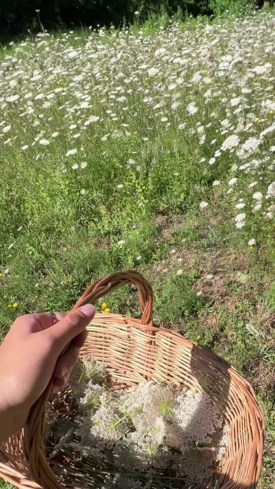 Post 9 by anna cain on TikTok (video)