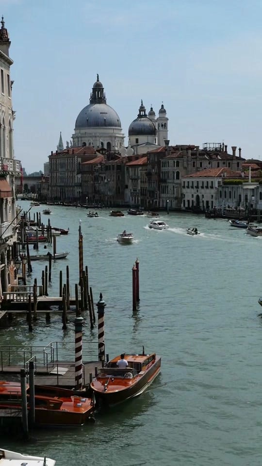 Post 4 by Xenia_ya on TikTok (video)