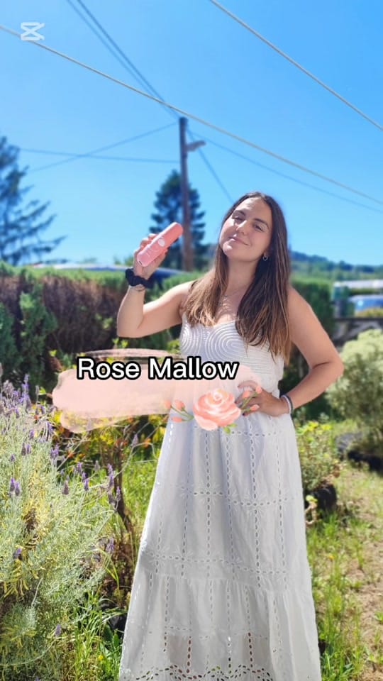 Post 4 by EGPLOW✨️ on TikTok (video)