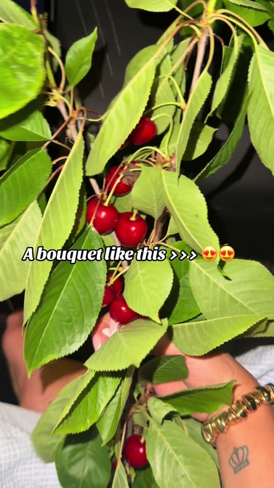 Post 2 by Camelia ✨ on TikTok (video)