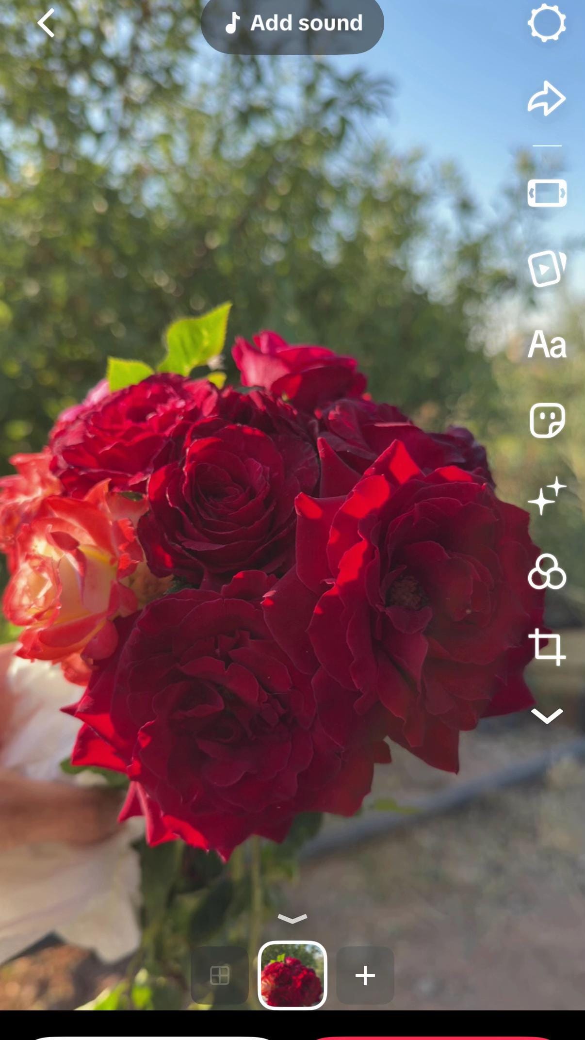 Post 7 by drrazankadry on TikTok (video)