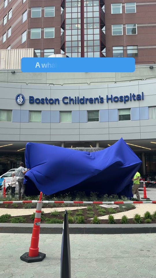 Post 10 by BostonChildrens on TikTok (video)