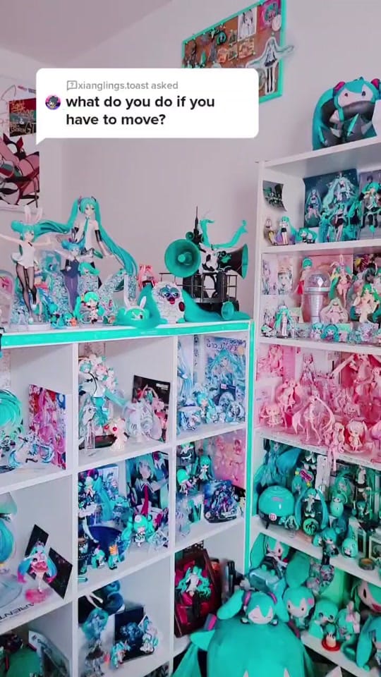 Post 10 by Lisbeth on TikTok (video)