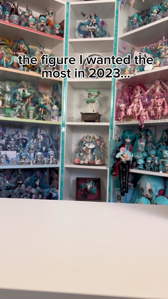Post 5 by Lisbeth on TikTok (video)