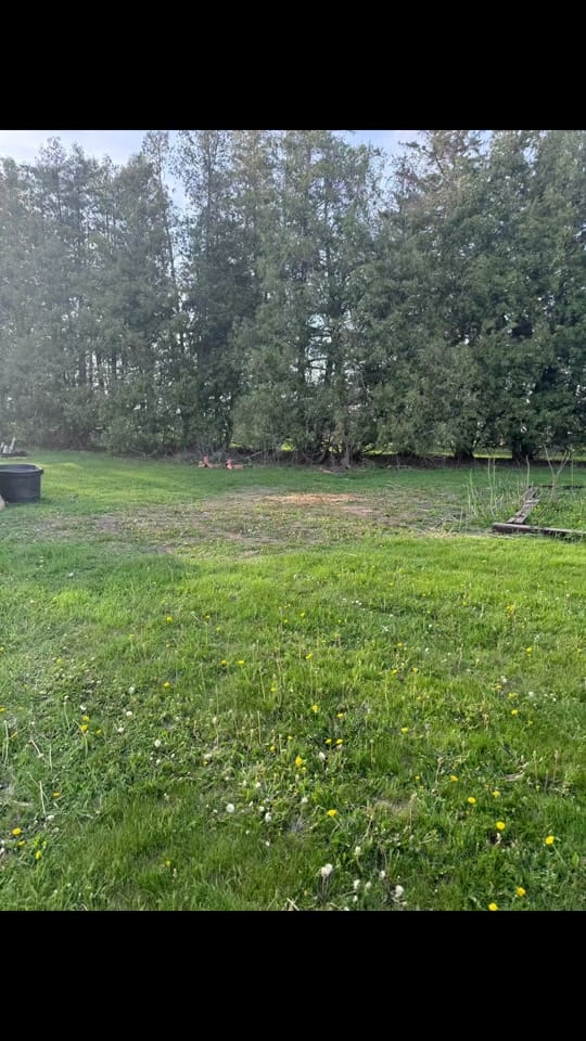 Post 8 by Tonya. on TikTok (video)