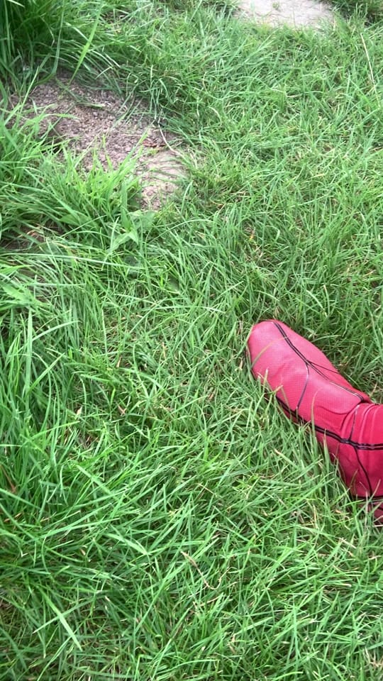 Post 6 by colognespidey on TikTok (video)