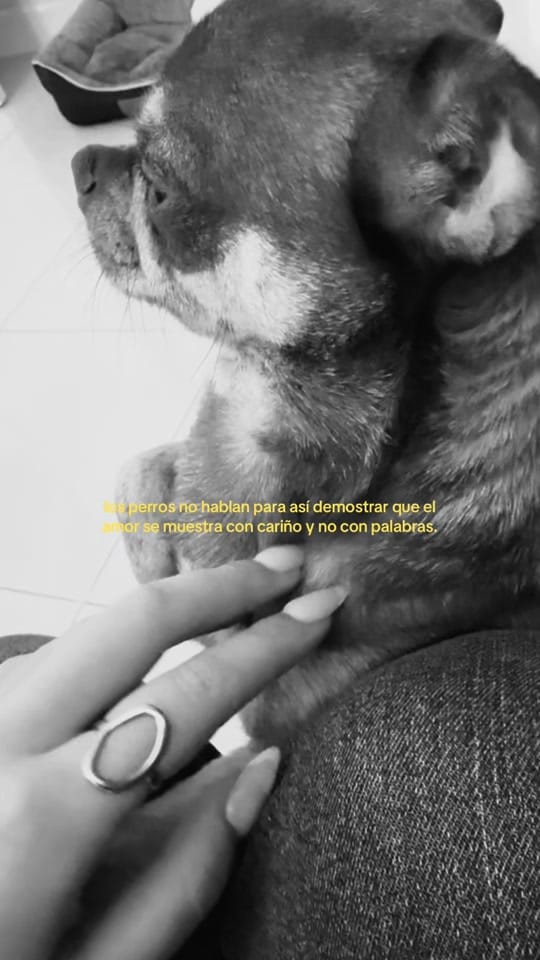 Post 6 by ari on TikTok (video)
