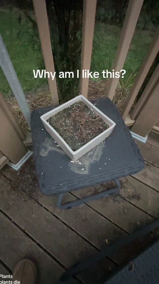 Post 9 by good_grefe on TikTok (video)