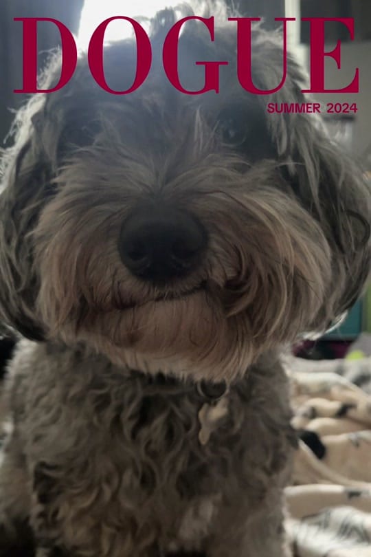 Post 10 by good_grefe on TikTok (video)