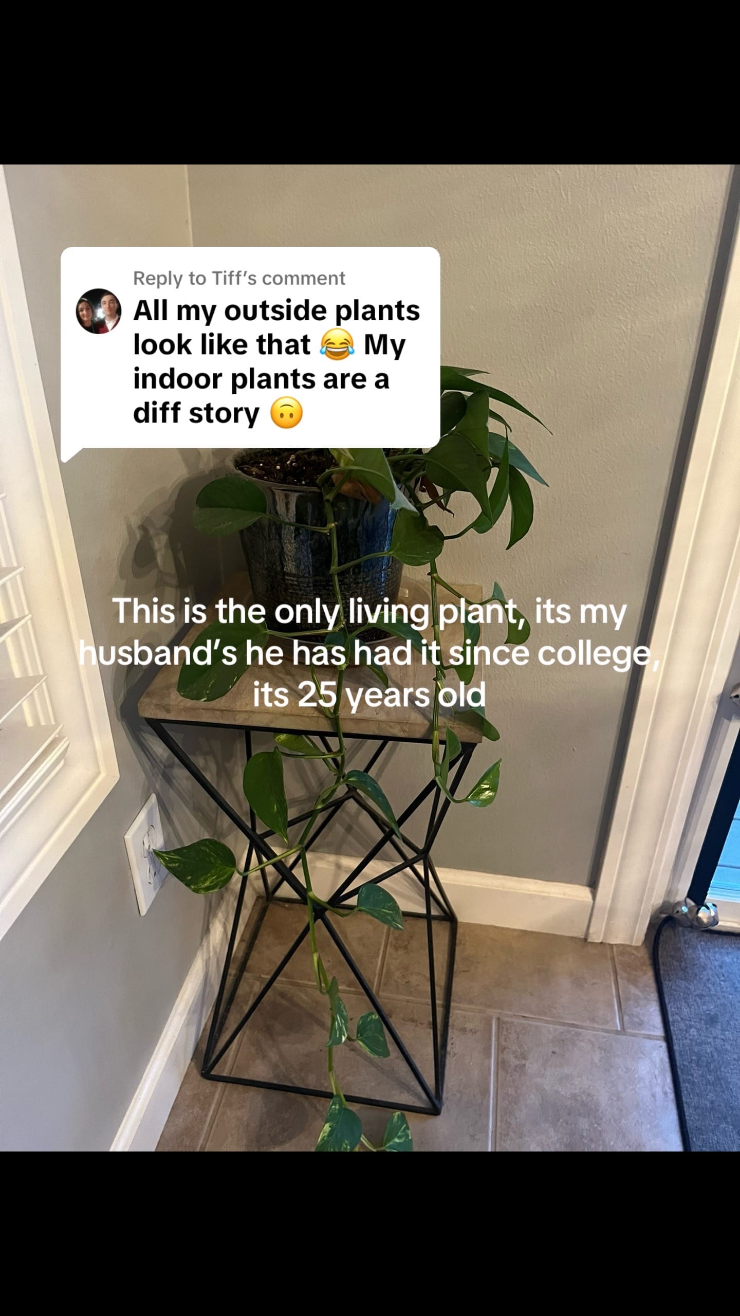 Post 8 by good_grefe on TikTok (video)