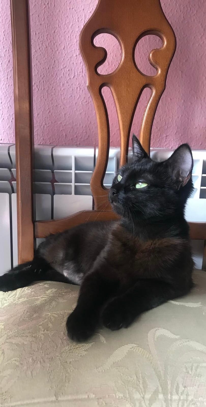 Post 6 by ❄️Sara❄️ on TikTok (video)