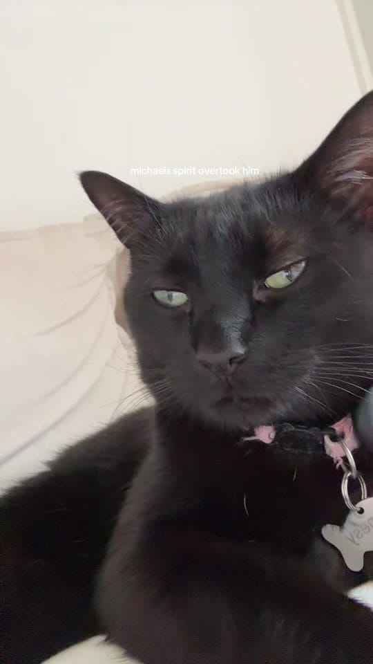 Post 6 by CLAIRE on TikTok (video)