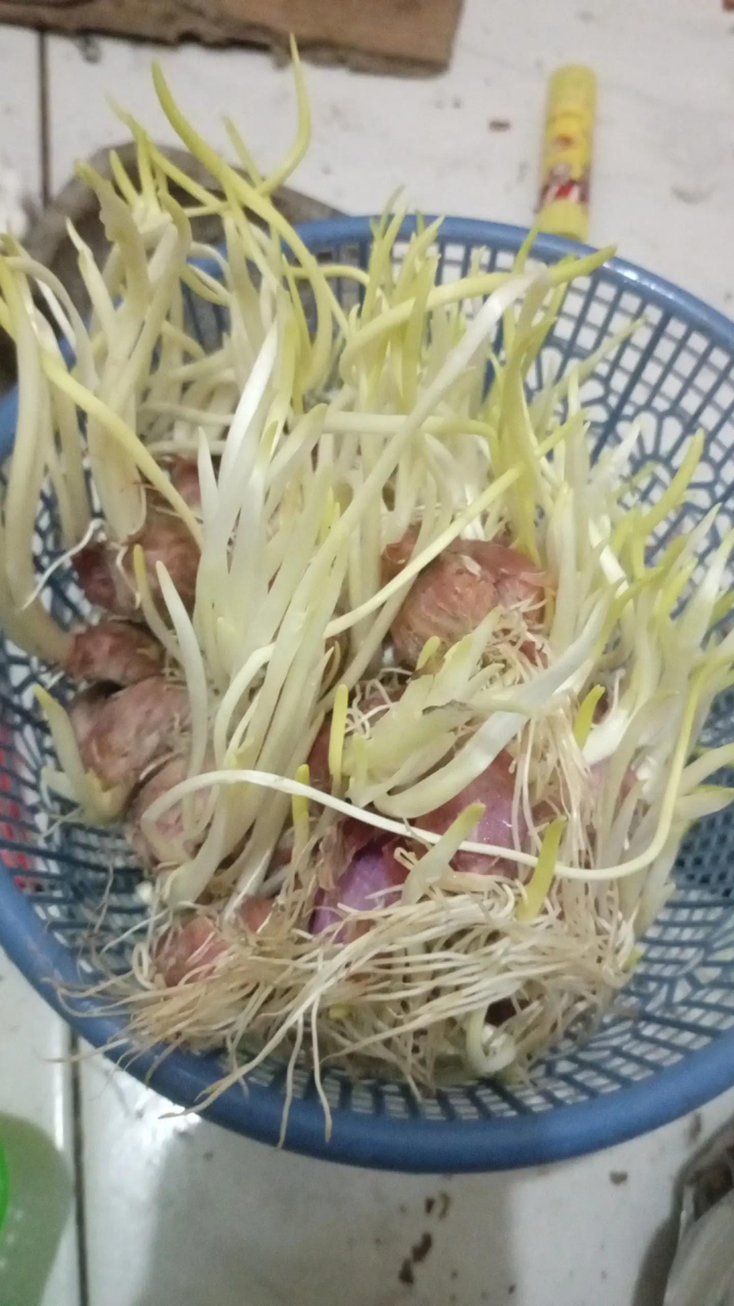 Post 5 by Kristina febriani on TikTok (video)